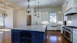 Elmwood_17