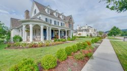 Elmwood_2