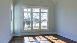 Elmwood_27
