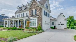 Elmwood_3