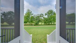Elmwood_50