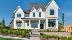 Grove Creek_2